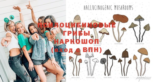 кокаин Бородино