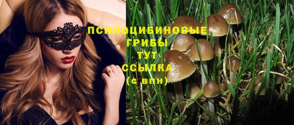 кокаин Бородино