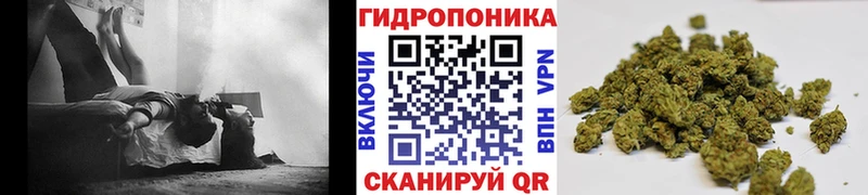 Марихуана AK-47 Купить Верея